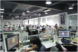 西安綠谷網(wǎng)絡(luò)技術(shù)研發(fā)調(diào)研報(bào)告 技術(shù)開(kāi)發(fā)篇